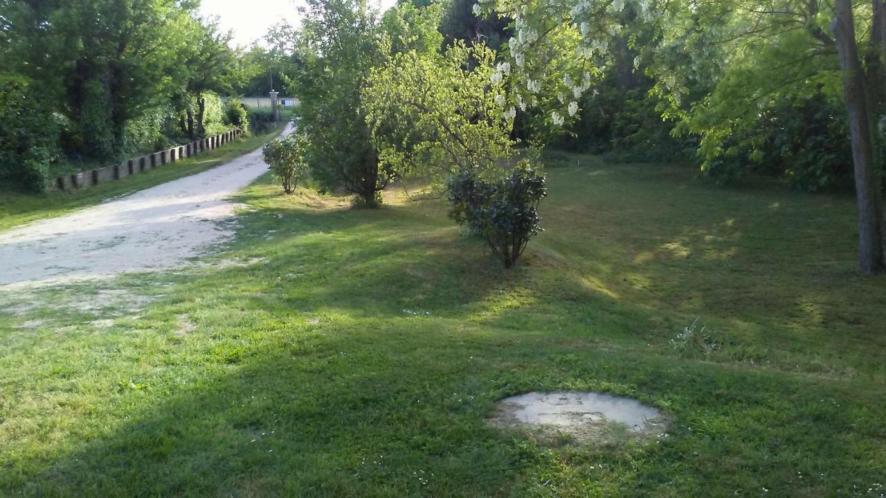 Bed And Breakfast Sile E Natura Sant'Elena di Silea Εξωτερικό φωτογραφία